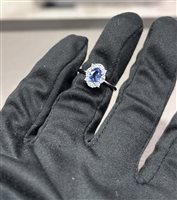 Ringe Buonocore Dame in Weißgold Zaffiro 0.86 Ct 1684A01MW - 1684A01MW